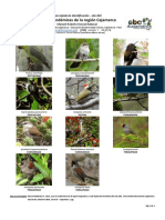 G.ebc001 11 Aves Endémicas de Cajamarca PDF