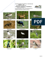 Guia de Aves de La Ciudad de Cajamarca PDF