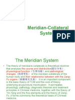 Meridian System Explained