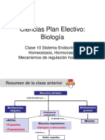 Sistema endocrino homeostático