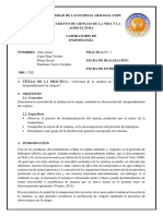 Informe 1