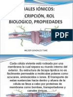 canalesionicos2