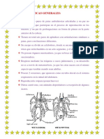 ARACNIDOS CARÁCTERISTICAS GENERALES