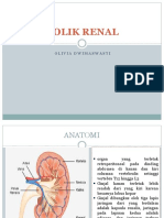 Kolik Renal