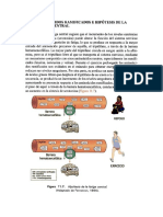 El Compuesto Insaturado Derivado de La Valina