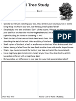 Seasonal Tree Study