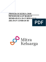 PROGRAM KERJA B3