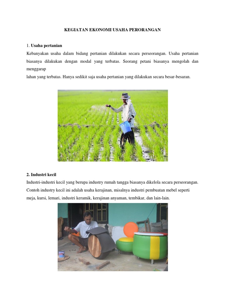 Kegiatan Ekonomi Usaha Perorangan Pdf