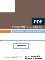 2.1. Extension Comunitaria
