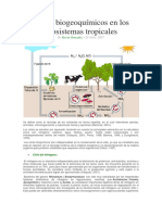 Ciclos Biogeoquímicos