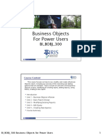Business Objects Report Design for Power Users