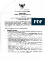 pengumuman_CPNS_2018.pdf