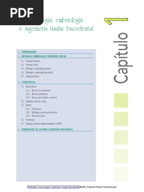 Embriologia Bucodental Pdf Diente Humano Dentina