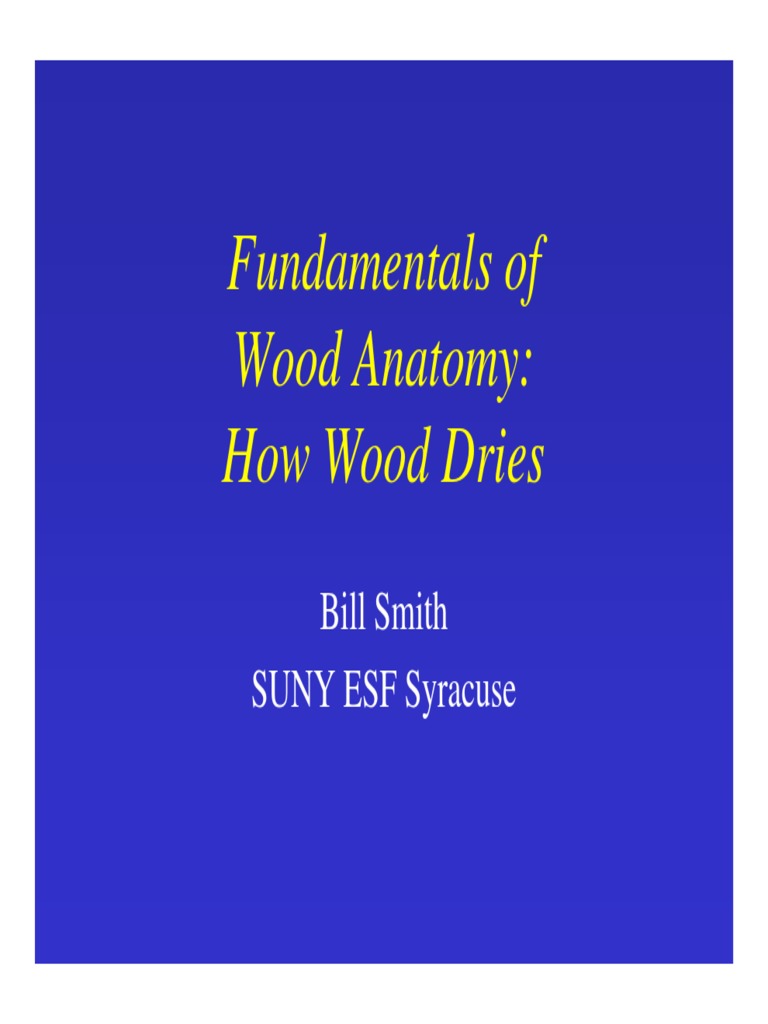 How Wood Dries PDF Wood Materials