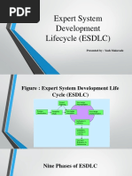 Expert System Development