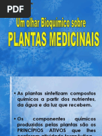 bioquímica-PLANTAS-MEDICINAIS
