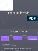 Teorii Ale Invatarii