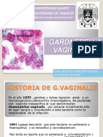 gardnerella vaginalis