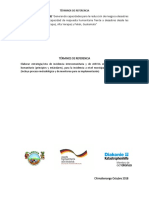 TdR Incidencia Em GRRD Municipal y de ASECSA Ampliación