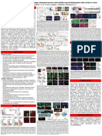 Pôster Biologia Molecular