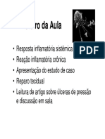 Aula Inflamação Sistêmica e Crônica para Enfermagem 2014