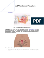 Alat Reproduksi Wanita Dan Fungsinya