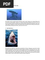 Batl037 Pdf Benghazi Libya