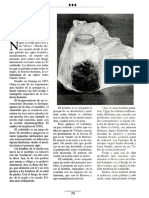 785_rodaballo.pdf