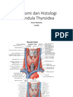 Anatomi Dan Histologi Glandula Thyroidea