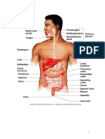 152900022 Imagini Anatomie AP Digestiv Resp Si Cardovas