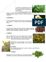 Plantas Medicinales