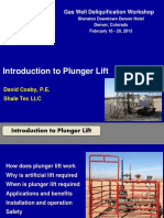 Introduction To Plunger Lift Feb 2013 PDF