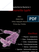 Kelompok 3 - Salmonella Typhi