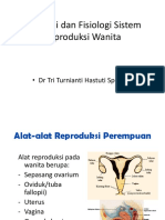 Alat Genital Wanita 1