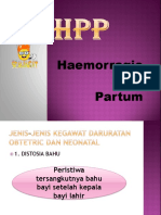 Haemorragic Post Partum