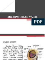 Anatomi Organ Visual