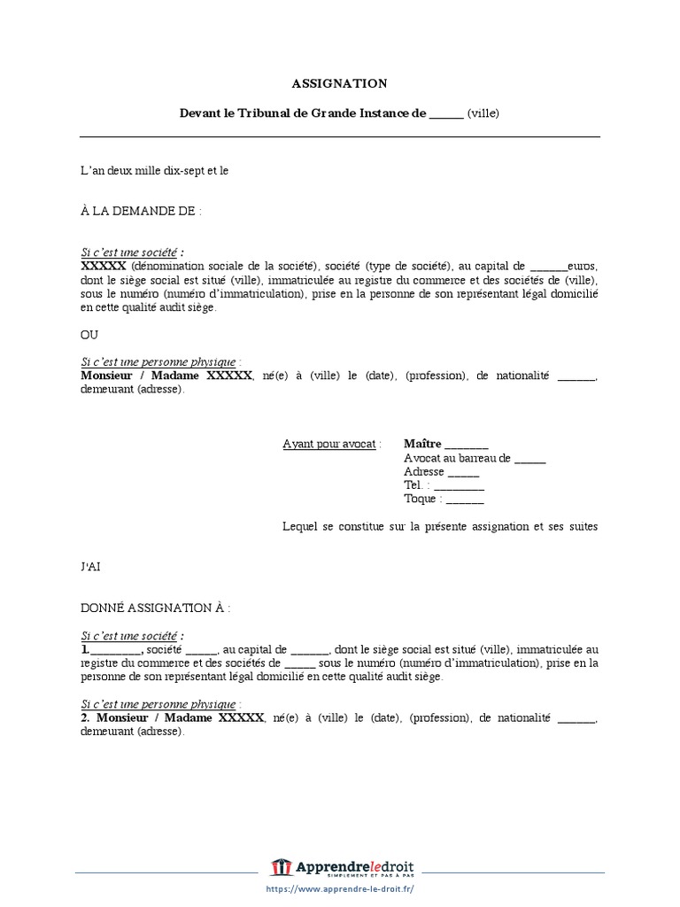 Modele Assignation Tgi Au Fond PDF Avocat Vertu