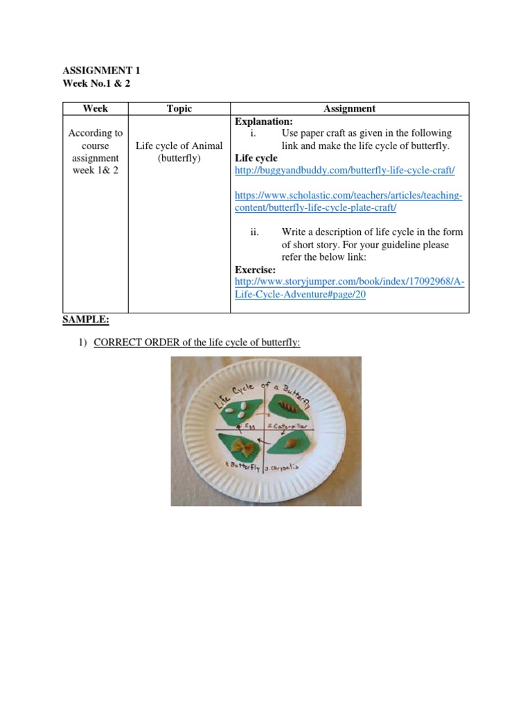 Primary Assignment 1 Science 1 | PDF | Butterfly | Pupa