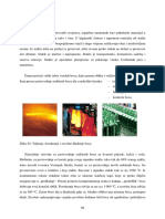 5 Boce PDF