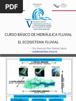 Importancia de las Zonas Riparias | PDF | Zona ribereña | Humedal