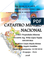 Catastro Minero Nacional.pdf