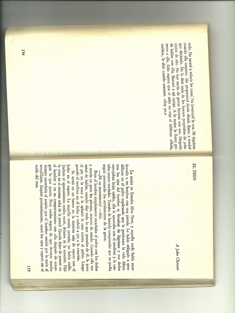 El Tren. Raymond Carver PDF