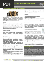 30 Afecções Respiratórias Em Gatos