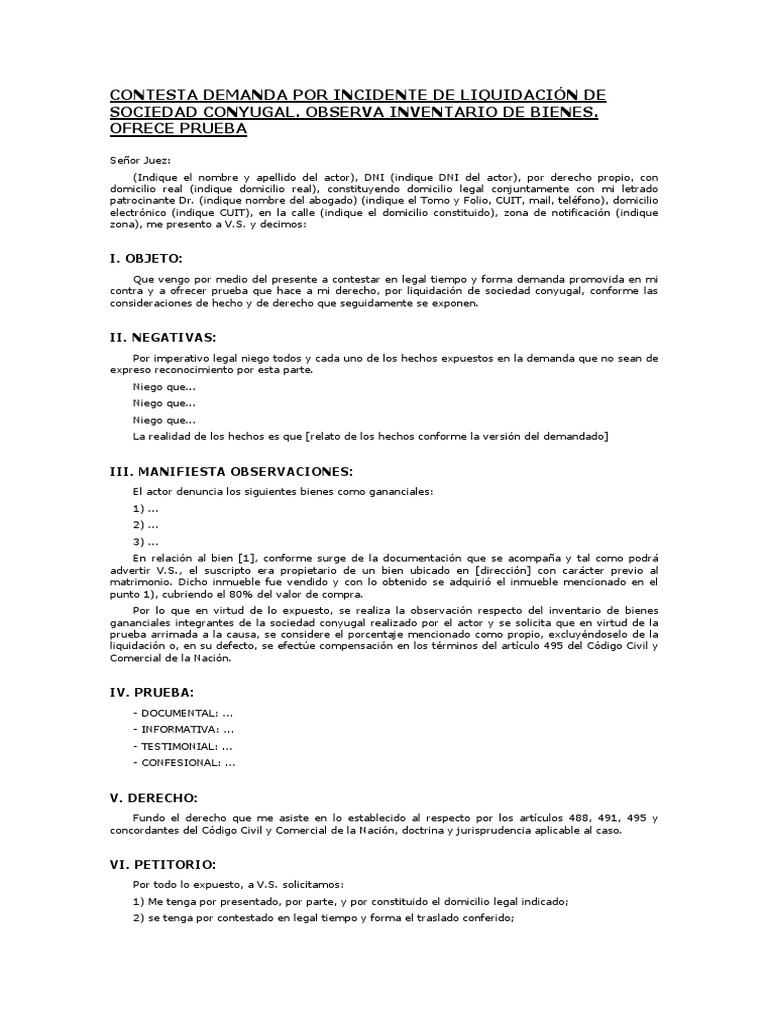 Demanda liquidación sociedad conyugal