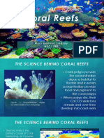 {WTC-KI1-1} Msci 390 Coral Reefs