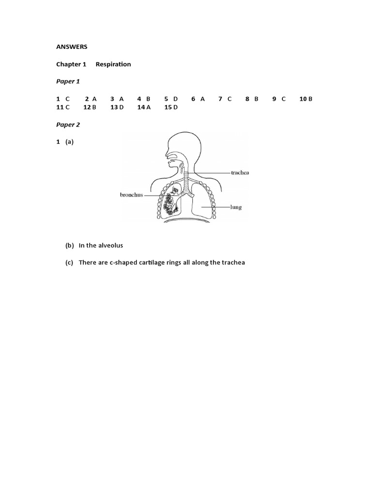 100 MCQs on Respiratory System | PDF