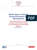 2016 Fdi Cpp White Paper