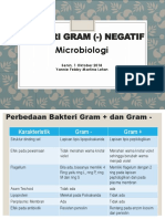 Bakteri Gram Negatif 