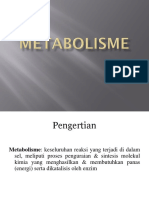 Metabolisme - 2