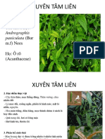 Xuyên Tâm Liên